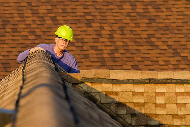 Best Roof Gutter Cleaning  in Exeter, CA